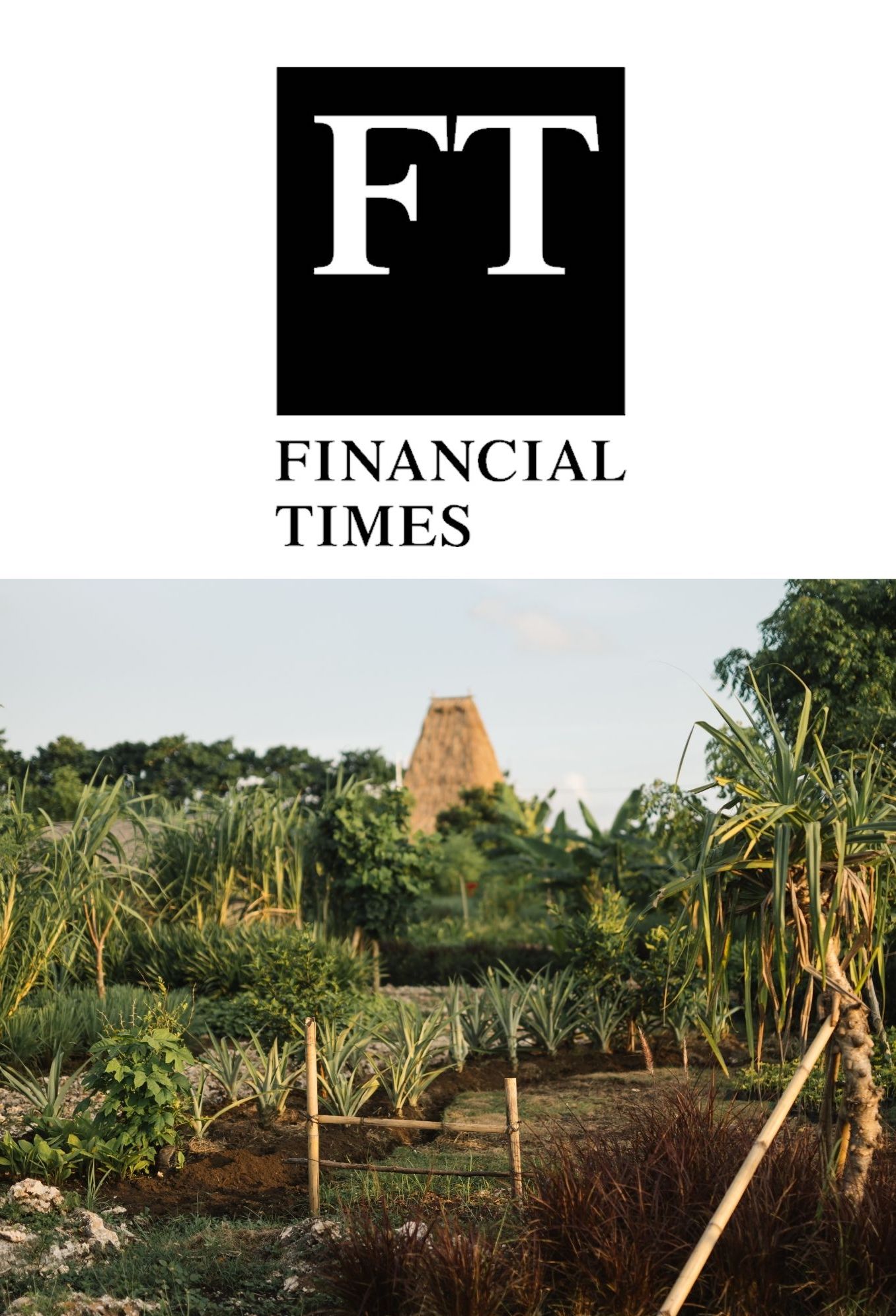 Cover for FT article