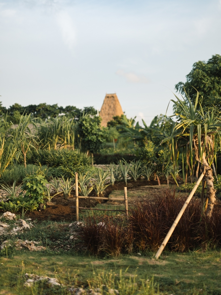 CapKaroso- Farm-garden