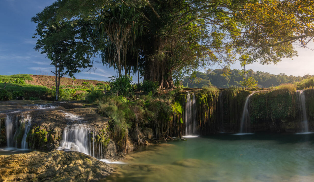 CapKaroso-oasis-waterfall-tree