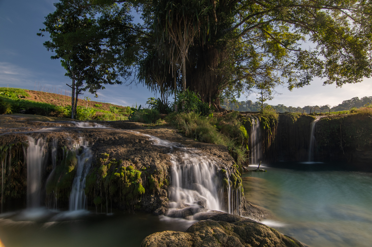Oasis with waterfall and tree